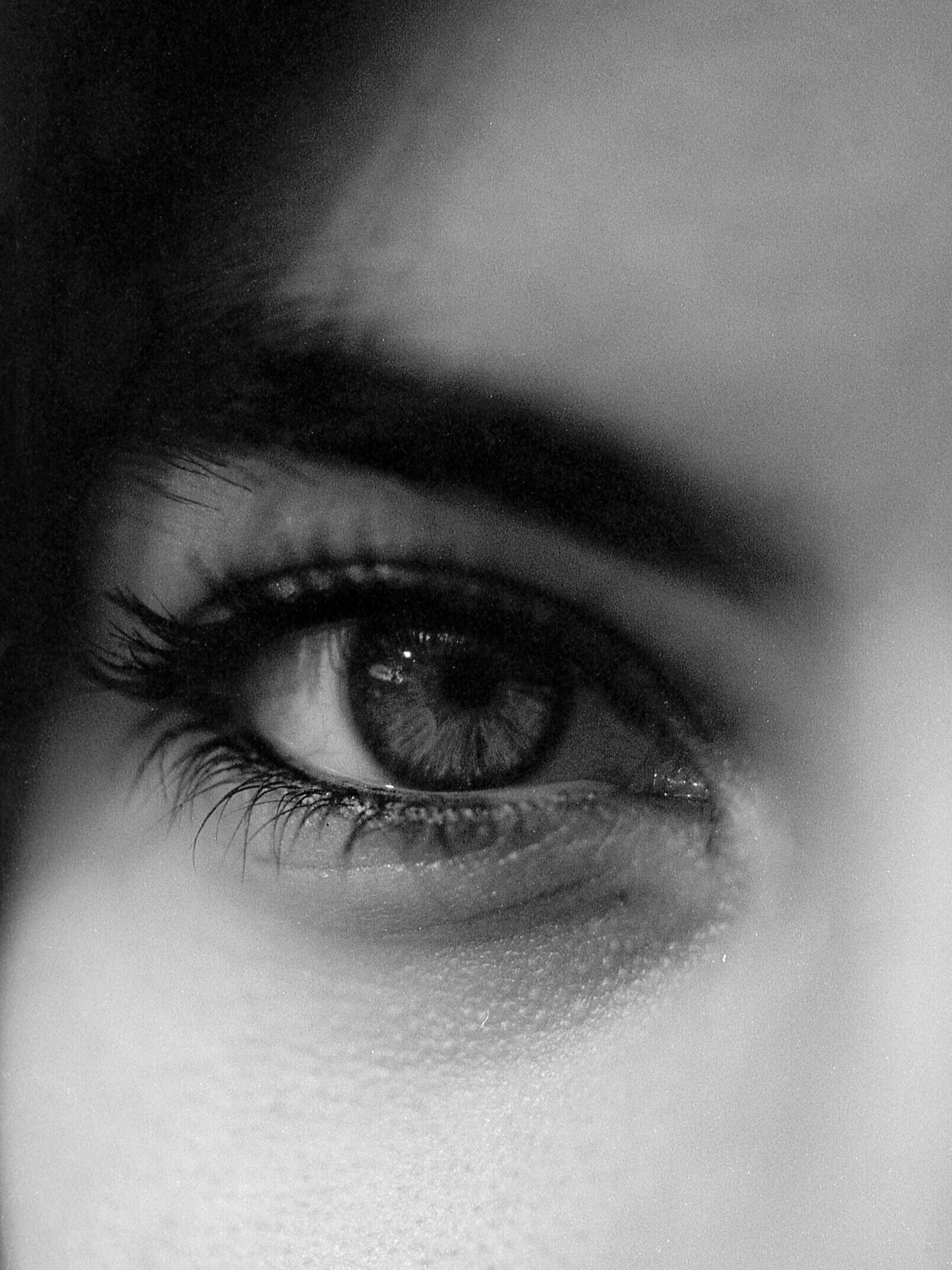 Suggest Product Thumbnail